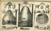 Plate III from Joseph Beldam's book The Origins and Use of the Royston Cave, 1884