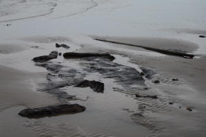 Amsterdam wreck at low tide